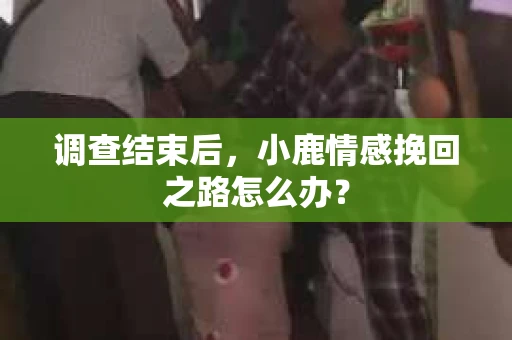 调查结束后，小鹿情感挽回之路怎么办？