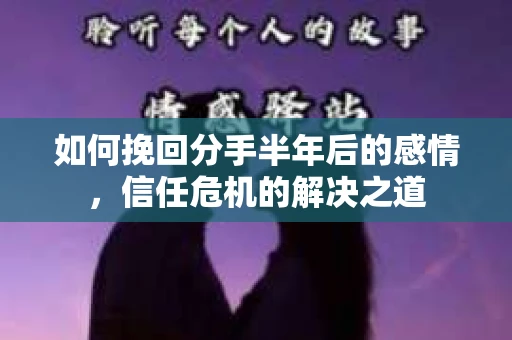 如何挽回分手半年后的感情，信任危机的解决之道