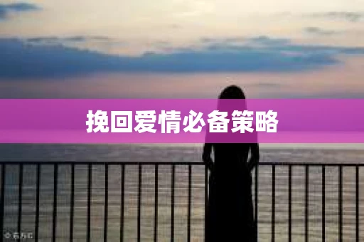 挽回爱情必备策略 挽回爱情必备策略