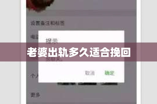 老婆出轨多久适合挽回