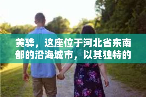黄骅，这座位于河北省东南部的沿海城市，以其独特的地理位置和丰富的历史文化而闻名。然而，在这座城市中，还有一群人，他们以另一种方式默默守护着社会的公平与正义——私家侦探。今天，我们就来聊聊黄骅的私家侦探，看看他们是如何在这个城市中发挥作用的。