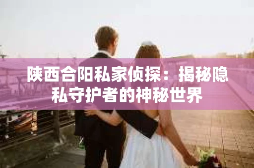 陕西合阳私家侦探：揭秘隐私守护者的神秘世界