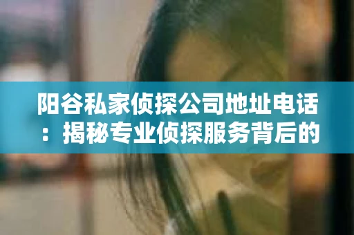 阳谷私家侦探公司地址电话：揭秘专业侦探服务背后的故事