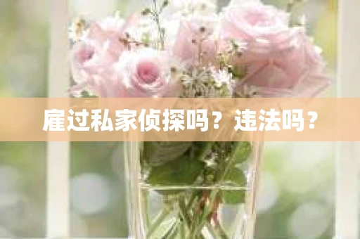 雇过私家侦探吗？违法吗？