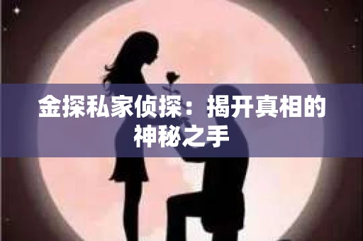 金探私家侦探：揭开真相的神秘之手