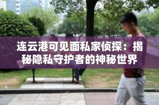 连云港可见面私家侦探：揭秘隐私守护者的神秘世界
