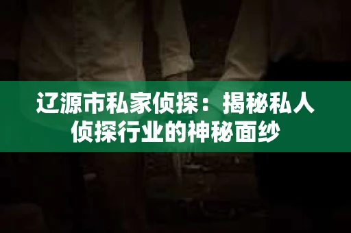 辽源市私家侦探：揭秘私人侦探行业的神秘面纱
