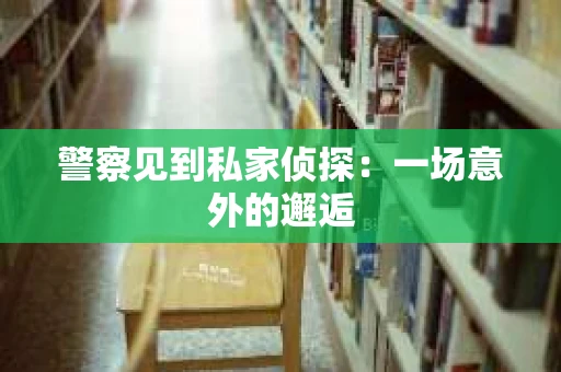 警察见到私家侦探：一场意外的邂逅