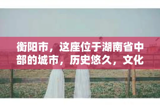 衡阳市，这座位于湖南省中部的城市，历史悠久，文化底蕴深厚。随着社会的发展，人们对于个人隐私的保护意识逐渐增强，私家侦探机构也应运而生。那么，衡阳市是否有私家侦探机构呢？今天，我们就来聊聊这个话题。