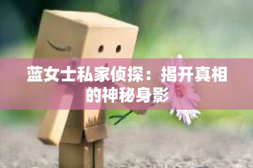 蓝女士私家侦探：揭开真相的神秘身影