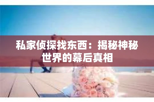 私家侦探找东西：揭秘神秘世界的幕后真相