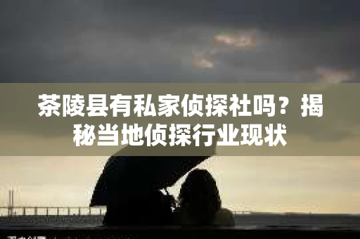 茶陵县有私家侦探社吗？揭秘当地侦探行业现状