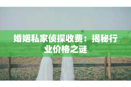 婚姻私家侦探收费：揭秘行业价格之谜