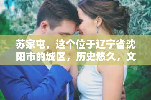 苏家屯，这个位于辽宁省沈阳市的城区，历史悠久，文化底蕴深厚。近年来，随着社会的发展，人们对于私家侦探的需求也逐渐增加。那么，苏家屯有私家侦探吗？今天，我们就来聊聊这个话题。