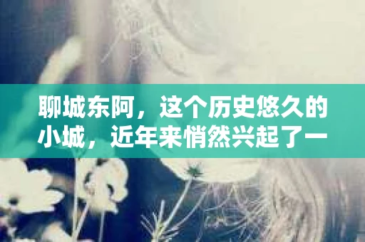 聊城东阿，这个历史悠久的小城，近年来悄然兴起了一股新的服务潮流——私家侦探。今天，我们就来聊聊这个话题，看看在聊城东阿，私家侦探是如何成为人们生活中的一部分的。