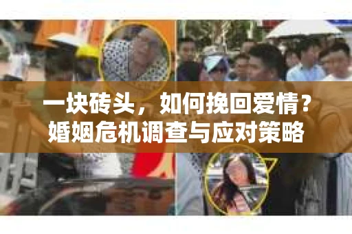 一块砖头，如何挽回爱情？婚姻危机调查与应对策略