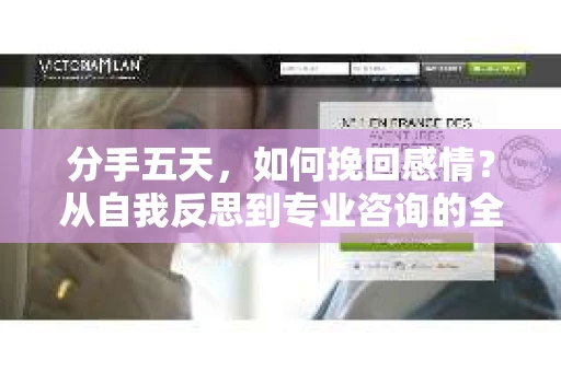 分手五天,如何挽回感情?从自我反思到专业咨询的全面解决方案 分手五天,如何挽回感情?从自我反思到专业咨询的全面解决方案