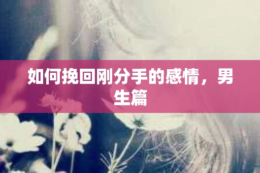 如何挽回刚分手的感情,男生篇 如何挽回刚分手的感情,男生篇
