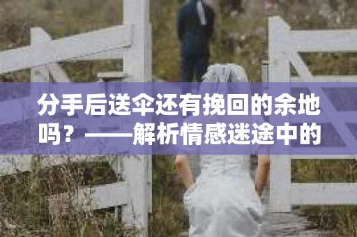 分手后送伞还有挽回的余地吗？——解析情感迷途中的决策
