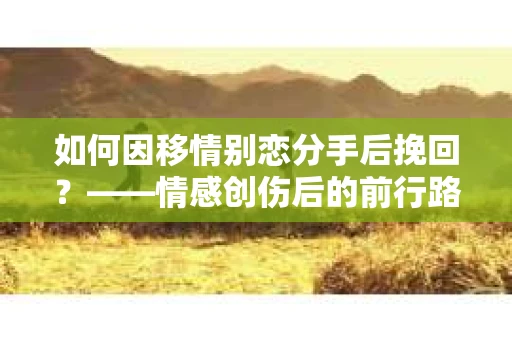 如何因移情别恋分手后挽回？——情感创伤后的前行路线图