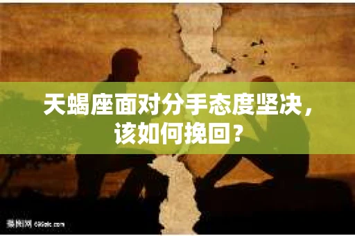 天蝎座面对分手态度坚决，该如何挽回？
